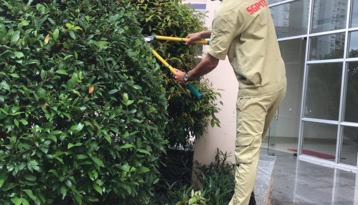 z2039674308470_8c530a2cb9a982903a7ebb820f7af0ec