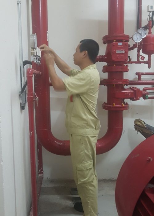 z2123664462955_d51e4142e7343fc2a2e453726e765bba