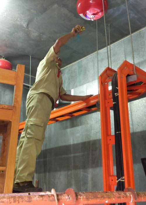 z4451182073423_8c35569ef7fcea335494f5966ad9e7ec