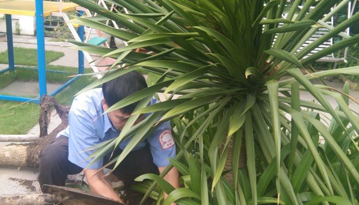 z4535866264980_a0a80246557dba4594181a5c9a3b7d8e