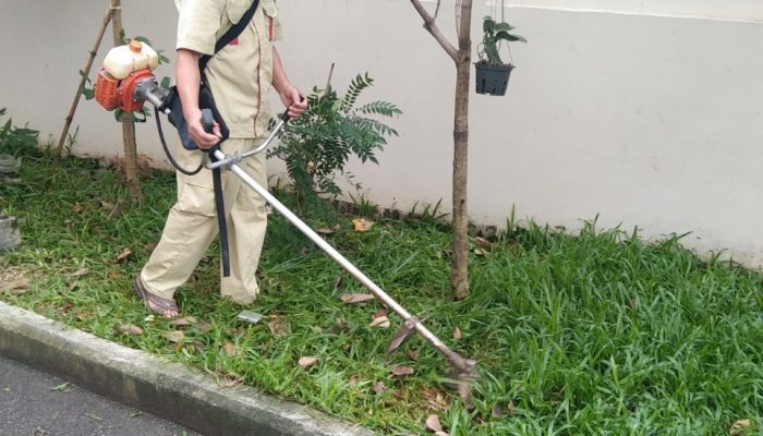 z4694608390788_a19157bd103d6e20b0ce5e53f32f5c06