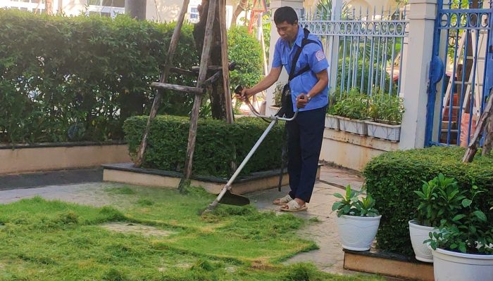 z5581158578599_cd3efc1a0a219fd844aab9e4ad838b72