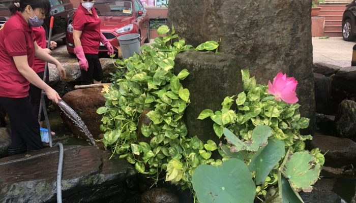 z5650829424278_a014d9652b46a31b6114a9ebe10be8df