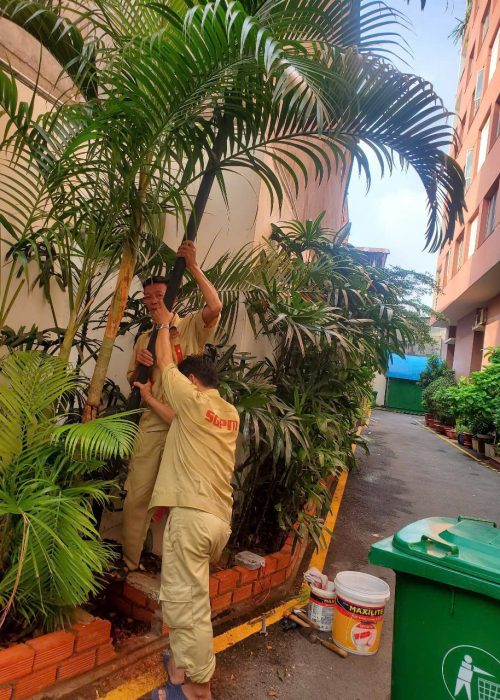 z6716434346792_5858f14eee7d99ac46d0e0a75dcd0108